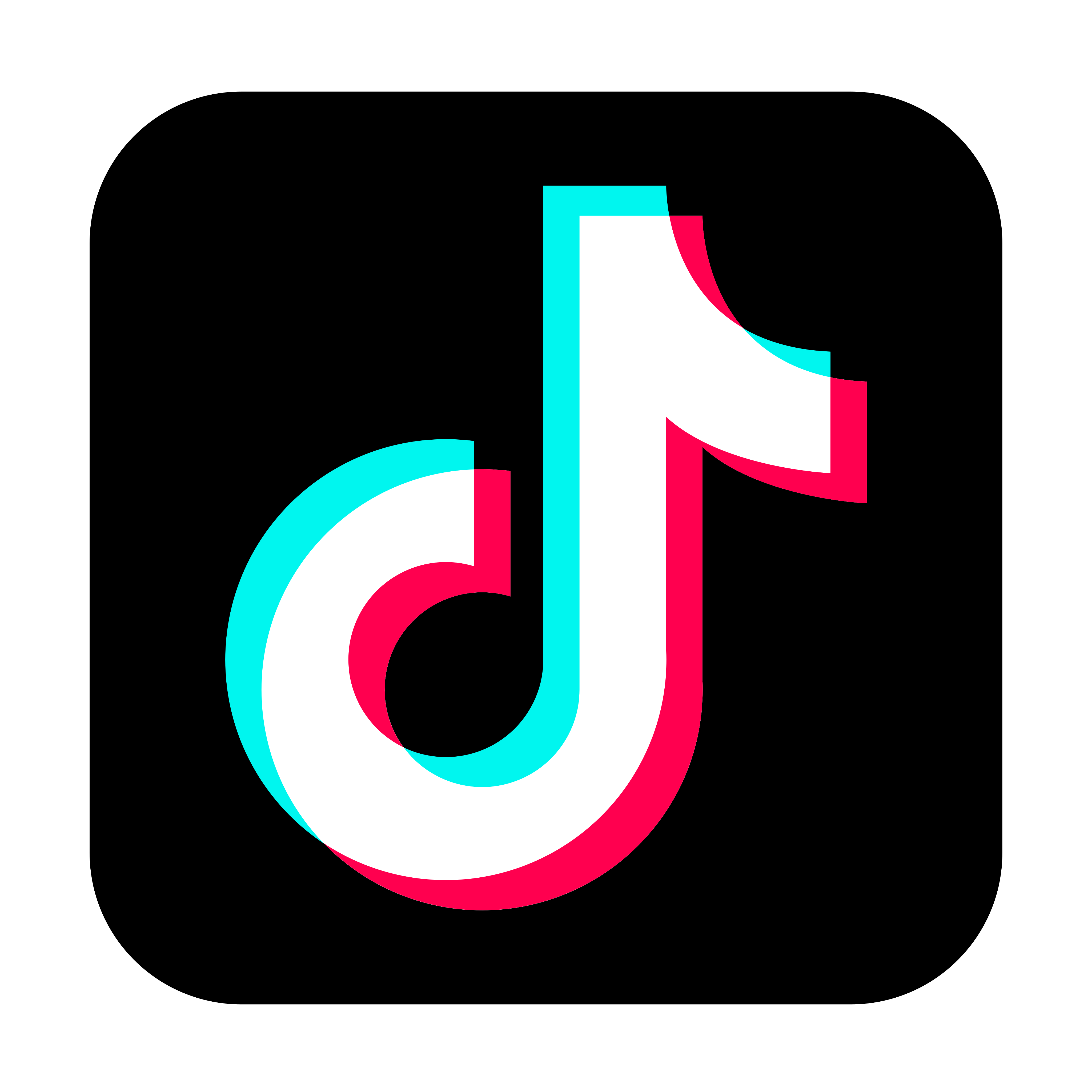 Tiktok 粉絲